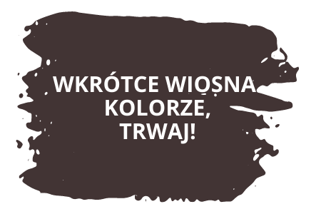 Wiosenna promocja na henny i farby [aktualne promocje]