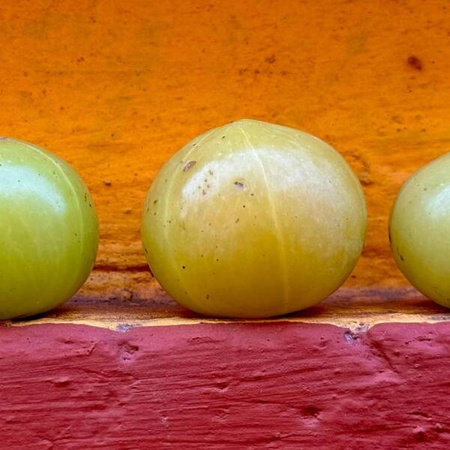 Khadi Szampon do włosów w proszku - 50 g | Oczyszczanie dla włosów wrażliwych